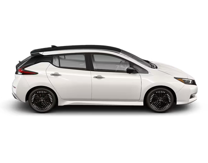 Nissan Leaf (Copy 4)